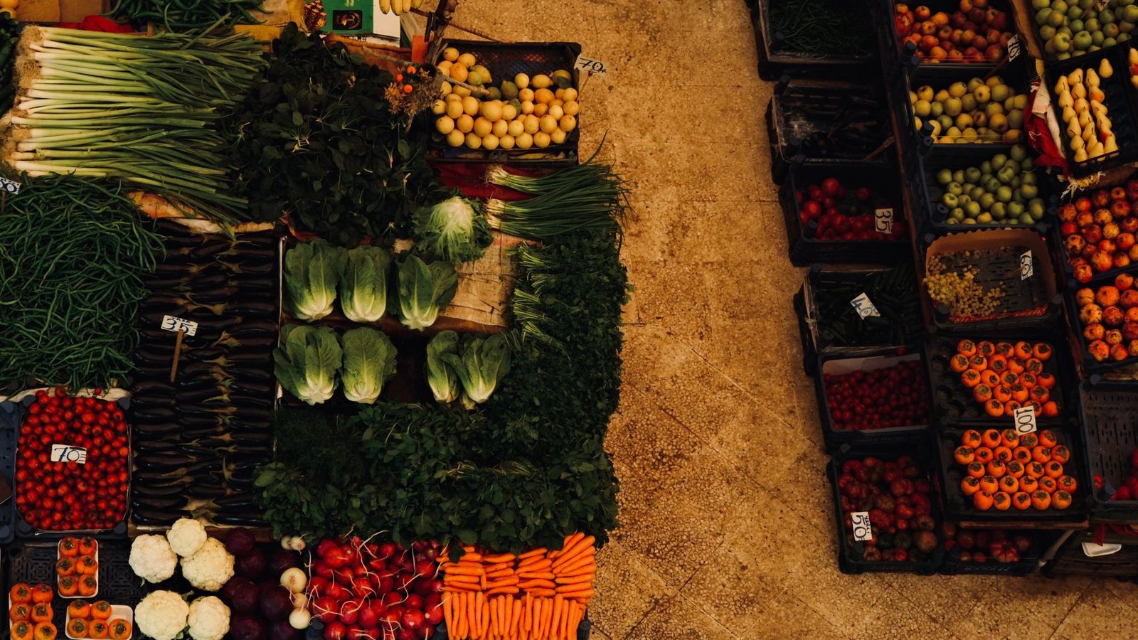 How to Grocery Shop Cheap for Camping: Save 40% on Food Costs